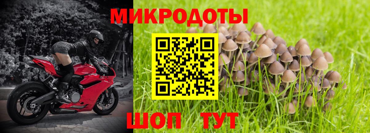 Псилоцибиновые грибы ЛСД  Псилоцибиновые грибы мухоморы  сколько стоит  Вход с VPN  Полевской 
